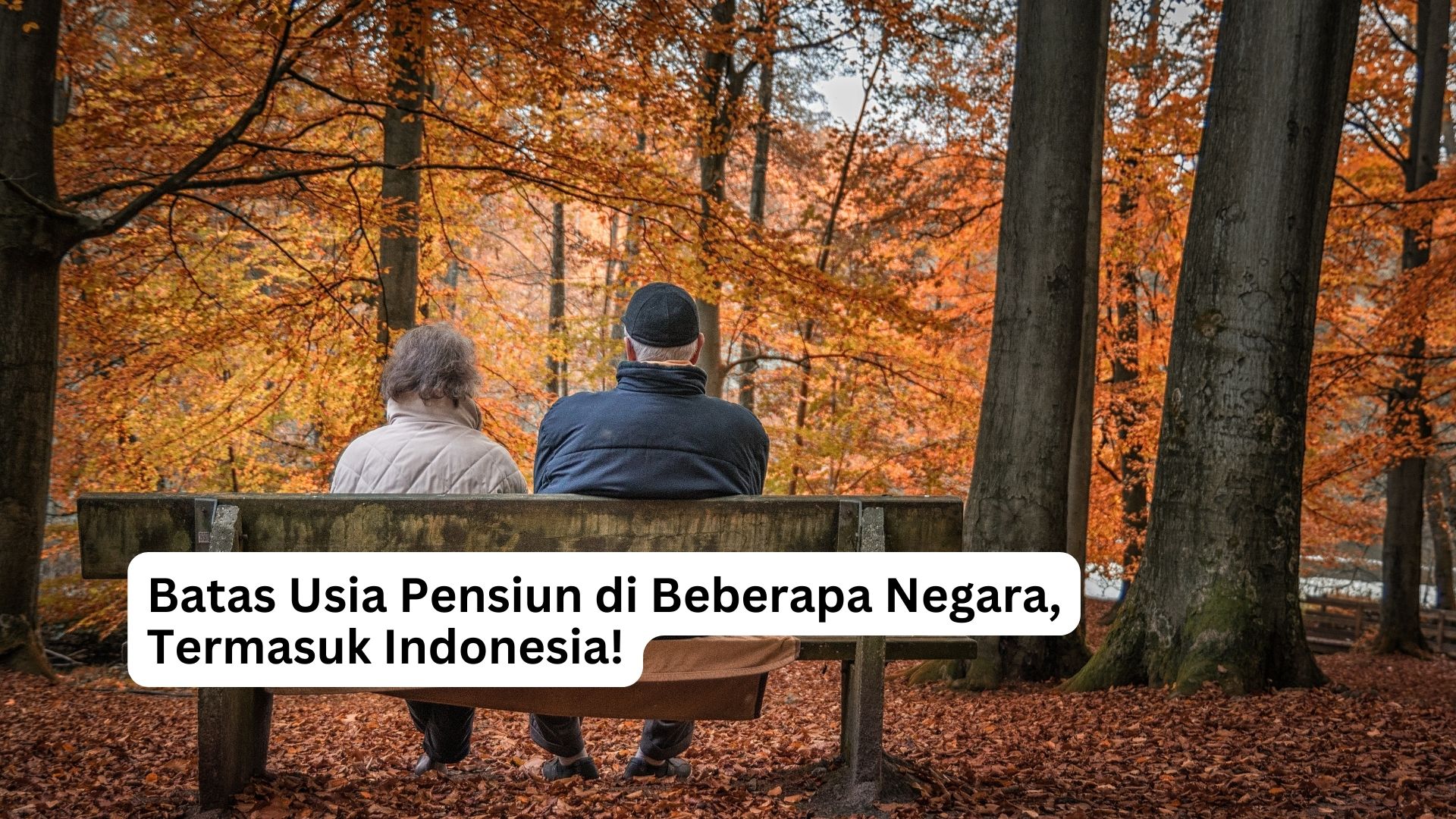 You are currently viewing Batas Usia Pensiun di Beberapa Negara, Termasuk Indonesia!
