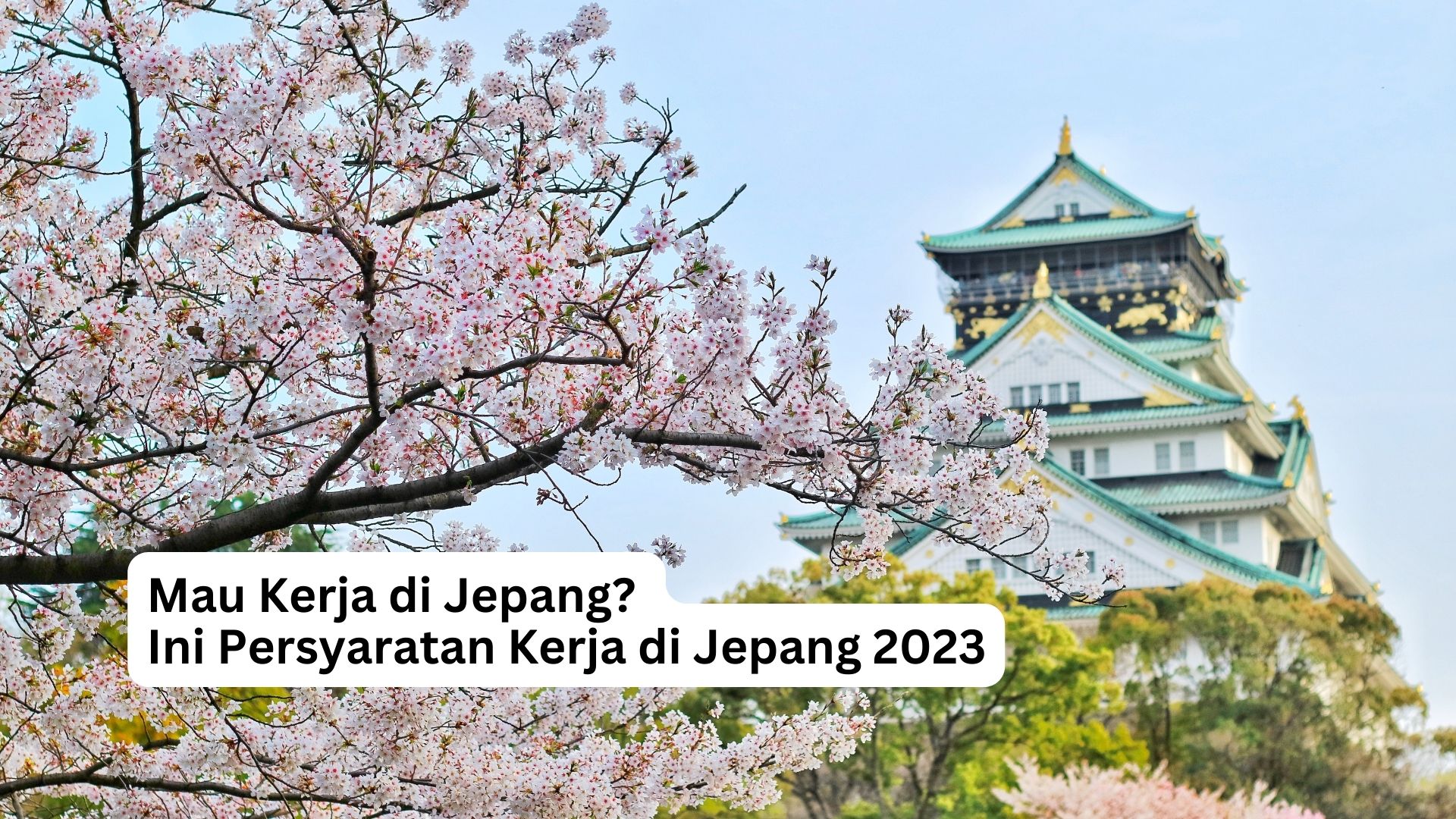 You are currently viewing Mau Kerja di Jepang? Ini Persyaratan Kerja di Jepang 2023