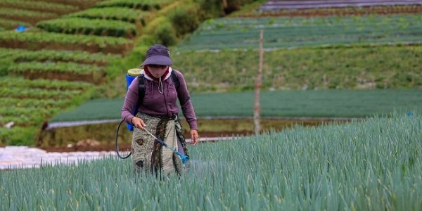 You are currently viewing Koperasi Pertanian Dianggap Sepele Namun Sangat Vital